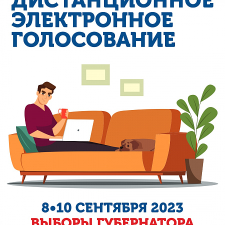 Выборы-2023: впервые жители Новосибирской области смогут проголосовать онлайн